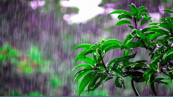 Relaxing Rain Sounds