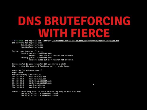 What is a DNS brute force?
