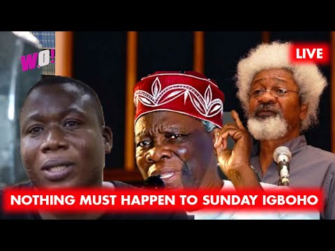 COTONOU; NOTHING MUST HAPPEN TO SUNDAY IGBOHO, PROF BANJI, WOLE SOYINKA AIDES ARR…