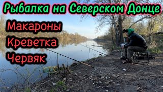 Весенняя рыбалка на реке 2024 Северский Донец