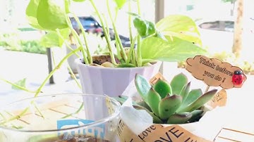 Nước sạch yêu thương  -  Trải nghiệm thực tế với Kitz Micro Filter