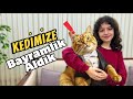 KEDİMİZ TONİ'YE BAYRAMLIK ALDIK! ÇOK YAKIŞTI!!
