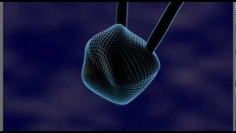 Beating Heart using Element 3D