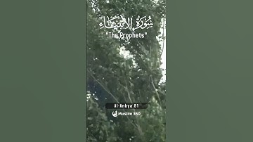 Surah Al-Anbiya 81 - Hindi/Urdu Audio |سورة الأنبياء #surahalanbiya #muslim360