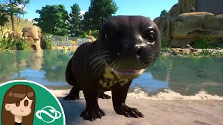 ADORABLE Giant River Otter | All I Want To Do Is Zoo | Planet Zoo Sandbox