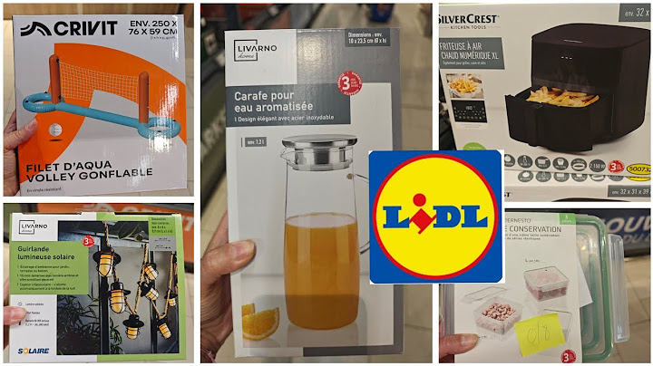 LIDL ARRIVAL 🦜June 18, 2025🦜