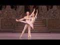 The nutcracker  sugar plum pas de deux adagio nuez muntagirov the royal ballet
