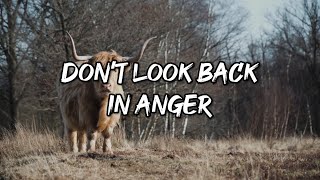 Don't Look Back in Anger by Oasis with Lyrics (Felix Irwan Cover)