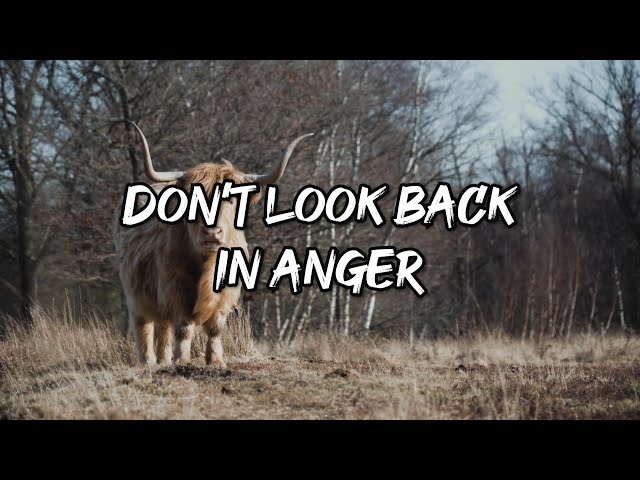 Don't Look Back in Anger by Oasis with Lyrics (Felix Irwan Cover) class=