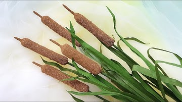 ABC TV | How To Make Typha Tree Paper - Craft Tutorial