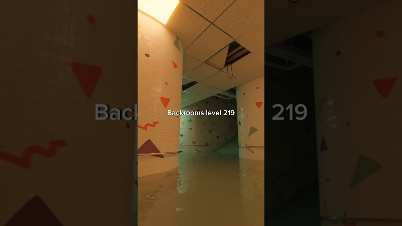 picture of possible new level - level 219 for the backrooms wikidot : r/ backrooms