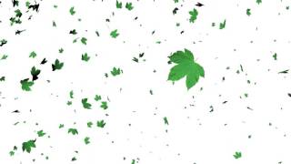 Direct download uncompressed video footage here
-----►http://bit.ly/2rj2fyf leaves falling animation in white screen
effect, this is full hd 1920x1080p video...