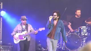 Destroyer - Bay Of Pigs Detail (NOS Primavera Sound 2016)