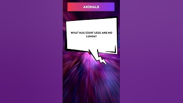 Can you solve this tricky puzzle before time runs out? 🧩💥 #shorts #brainboost #quickthinking