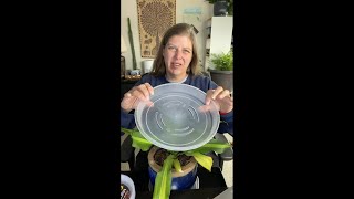 18 Pack Plant Saucers of 6 inch & 8 inch & 10 inch , Durable Plant Trays for Indoors Outdoors, Clear