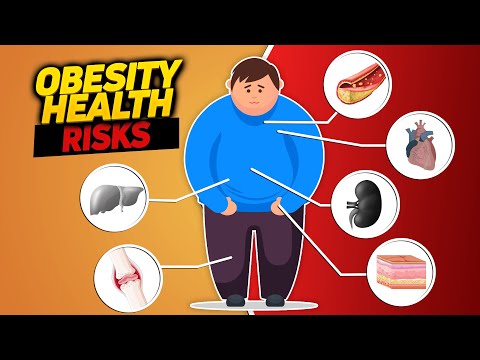 Obesity Health Risks or How Excessive Fat Destroys the Body