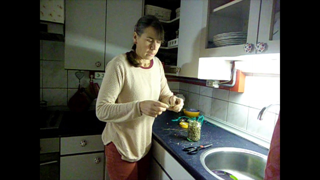 duizendblad | kruidenremedies | zelfvoorzienend