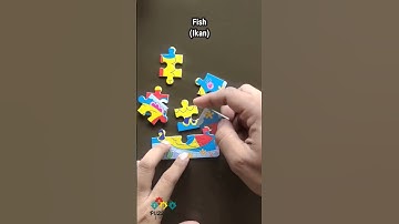 How To Solve - Fish Puzzle #puzzle  #shorts