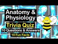 Interesting anatomy  physiology trivia human body quiz  10 questions  answers  10 fun facts