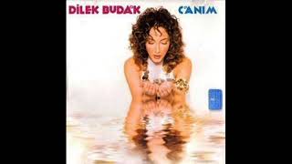 Dilek Budak - Canım (2004) Resimi