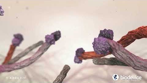 Endoform™ Matriz Extracelular [teaser]