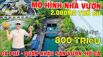 Tập 220 Hót Quá Trời - Mô Hình Nhà Vườn Có Sẵn 2.000m2 Thổ Nghĩ Dưỡng Kinh Doanh Cà Phê Quán Nhậu ✅