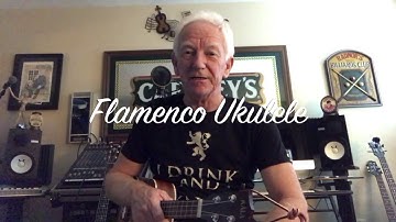 Flamenco Ukulele Lesson by Jeebs McSnooty