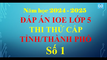 Đáp án IOE lớp 5 - Thi thử cấp Tỉnh/Thành phố (Năm học 2024 - 2025)