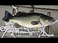 Dave Jr's NEW PB Largemouth Bass