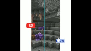 Minecraft 1.16 Vs 1.17 Difference.....#shorts