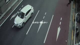 寺尾紗穂|Saho Terao – ゴールはどこだい (Lyric Video)