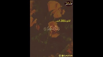 قال رب اشرح لي صدري ويسر لي أمري القارئ عبدالعزيز الفقيه