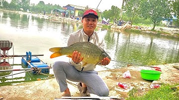 Câu Cá Chép Cũ Hồ Dịch Vụ Chia Sẻ Cách Câu Điều Phối Lượng Mồi Lên Xuống Đều Trong Một Ca Câu