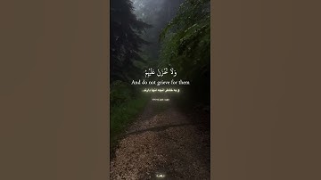 قرآن - سورهحجر - آیه88 ☝️🕋 #الله #المصحف #قرآن_كريم #quran #سورة_الحجر #حق