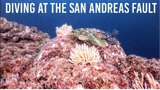 Diving at the San Andreas Fault- Puerto Vallarta, Mexico: Hidden Treasure!