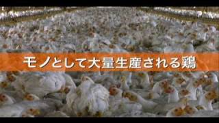 映画『フード・インク』『ありあまるごちそう』予告編