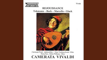 Ouverture-Suite in A Minor, TWV 55:a2: V. Réjouissance