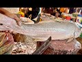 Big Rawas Fish Cutting In Bangladesh Fish Market | Fast Fish Cutting Skills