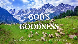 GOODNESS OF GOD | Instrumental Worship and Scriptures with Nature |Christian Harmonies