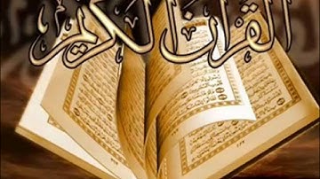 سورة القلم للشيخ مؤيد المزين صوت عذب وجميل