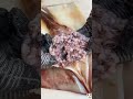 Squid that died from being stuffed to death#squid#seafood