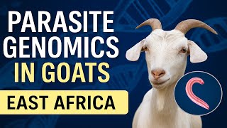 Parasite Genomics in Goats: The DNA Revolution Fighting Worms in East Africa