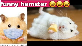 Funny hamster pet sleeping ,playing 😃😁 by KKR tech 18 views 3 years ago 1 minute, 38 seconds