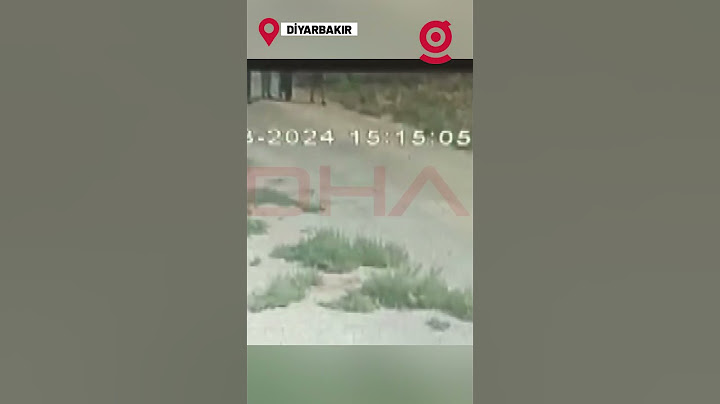 8 Yaşındaki Kayıp Narin'in Son Görüntüleri Ortaya Çıktı! Narin Bütün Diyarbakır'da 3 Gündür Aranıyor