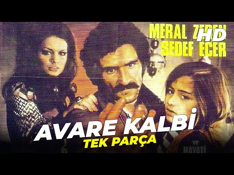 Avare Kalbi | Meral Zeren, Yılmaz Köksal Eski Türk Filmi Full İzle