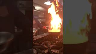 Our Chef At The Casino At Dania Beach