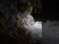 Relaxing Water flow sound with deep Relaxing Music