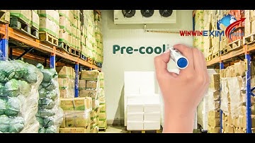 Export of Grapes || Export Import || Export from India