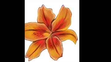 drawing a yellow lily flower. How I draw in Procreate