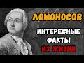 Интересные факты из жизни Ломоносова